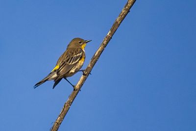 PICTURE A DAY 2025 YEAR 21