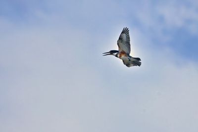 PICTURE A DAY 2025 YEAR 21