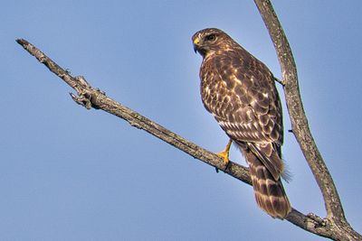 PICTURE A DAY 2025 YEAR 21