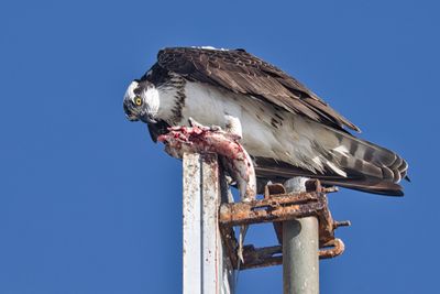 PICTURE A DAY 2025 YEAR 21