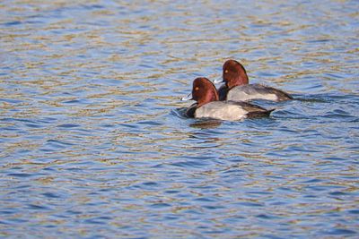 PICTURE A DAY 2025 YEAR 21