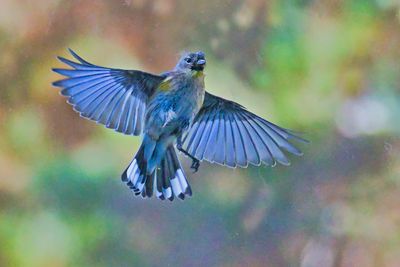 PICTURE A DAY 2025 YEAR 21