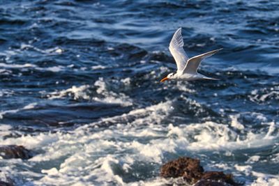 PICTURE A DAY 2025 YEAR 21