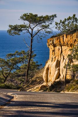 PICTURE A DAY 2025 YEAR 21