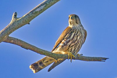 PICTURE A DAY 2025 YEAR 21