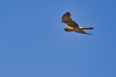 PICTURE A DAY 2025 YEAR 21