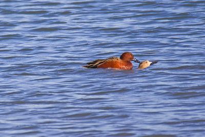 PICTURE A DAY 2025 YEAR 21