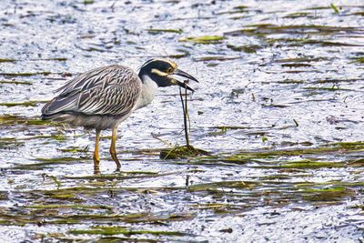 PICTURE A DAY 2025 YEAR 21