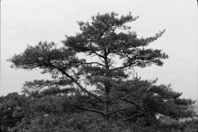 202409-01-MA-RPX400-50CRON-024-flickr.jpg
