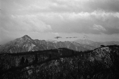 g13/18/385618/3/175194450.8ed0d486.JPEG