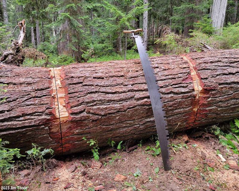 6 Saw, 4 log