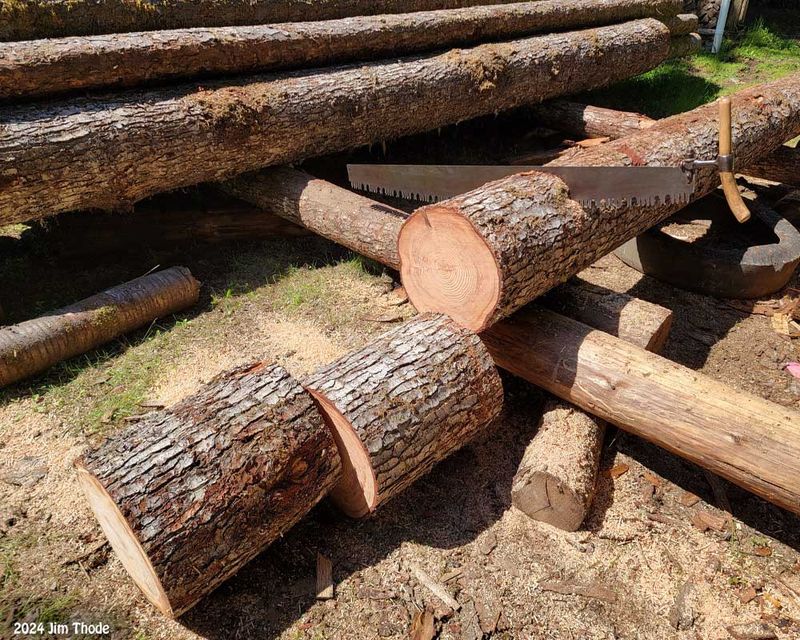 Cut Over Winter/Spring