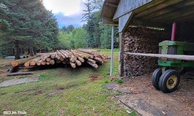 Windfalls Stockpiled in Fall