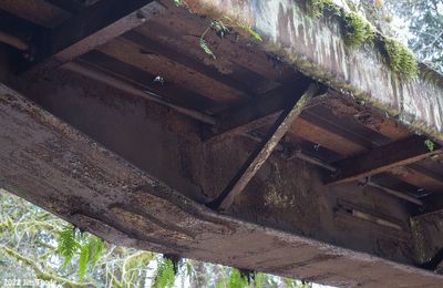 Underside