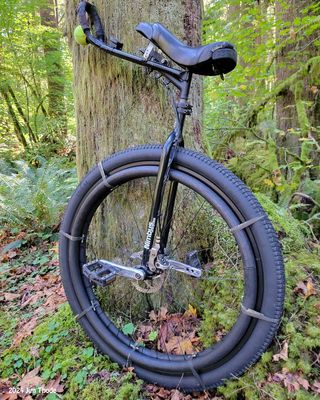 Added Weight to Wheel