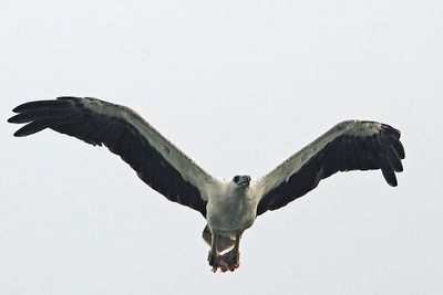 DSC_5691_filtered.jpg