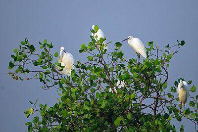 DSC_6349.jpg