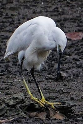 DSC_6932.jpg