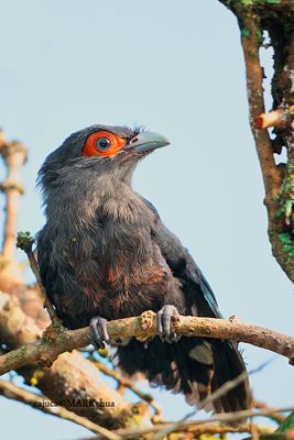 DSC_6196.jpg