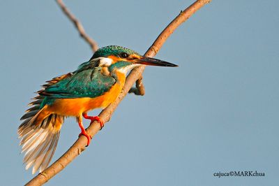 DSC_1969.jpg