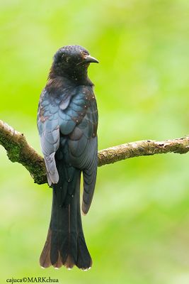 DSC_5109.jpg