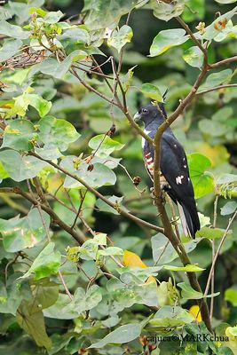 DSC_5079.jpg