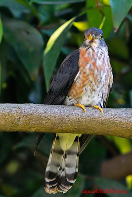 DSC_9179.jpg