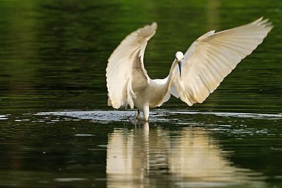 DSC_8499.jpg