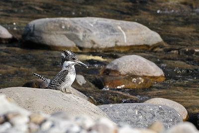 DSC_2851.jpg