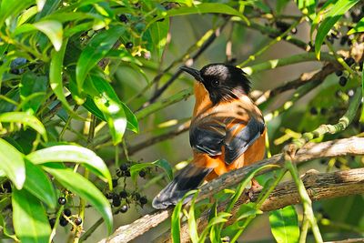 DSC_0291.jpg