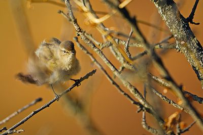 DSC_1674.jpg