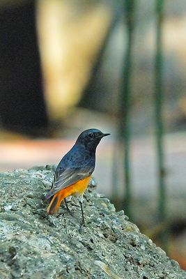 DSC_1432.jpg