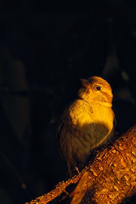 DSC_1808_filtered.jpg