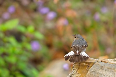 DSC_1335_filtered.jpg
