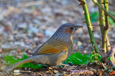DSC_1760.jpg