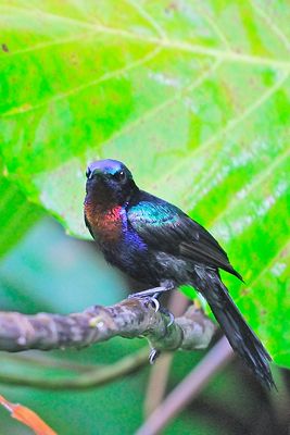 DSC_3611.jpg
