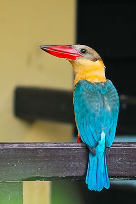 DSC_4276.jpg