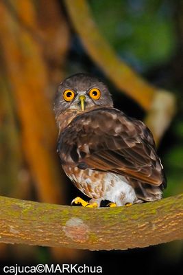 DSC_7094_filtered.jpg