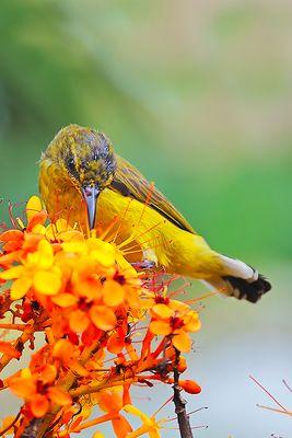 DSC_7465_filtered.jpg