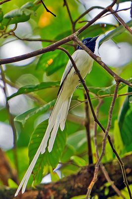 DSC_7593.jpg