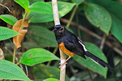 DSC_1381.jpg