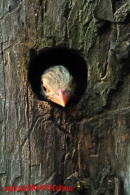 DSC_1188.jpg