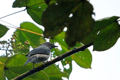 DSC_4149.jpg