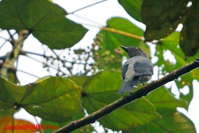 DSC_4154.jpg