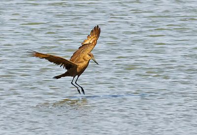 DSC_7125.jpg