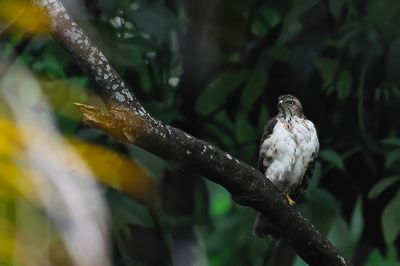 DSC_4449.jpg