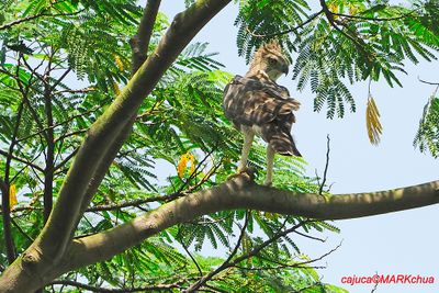DSC_5066.jpg