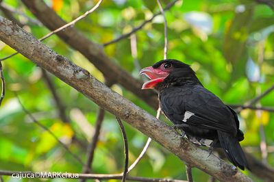DSC_8441.jpg