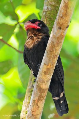 DSC_8514.jpg