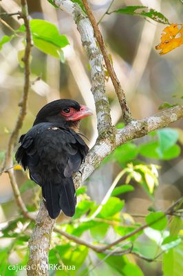 DSC_8494.jpg